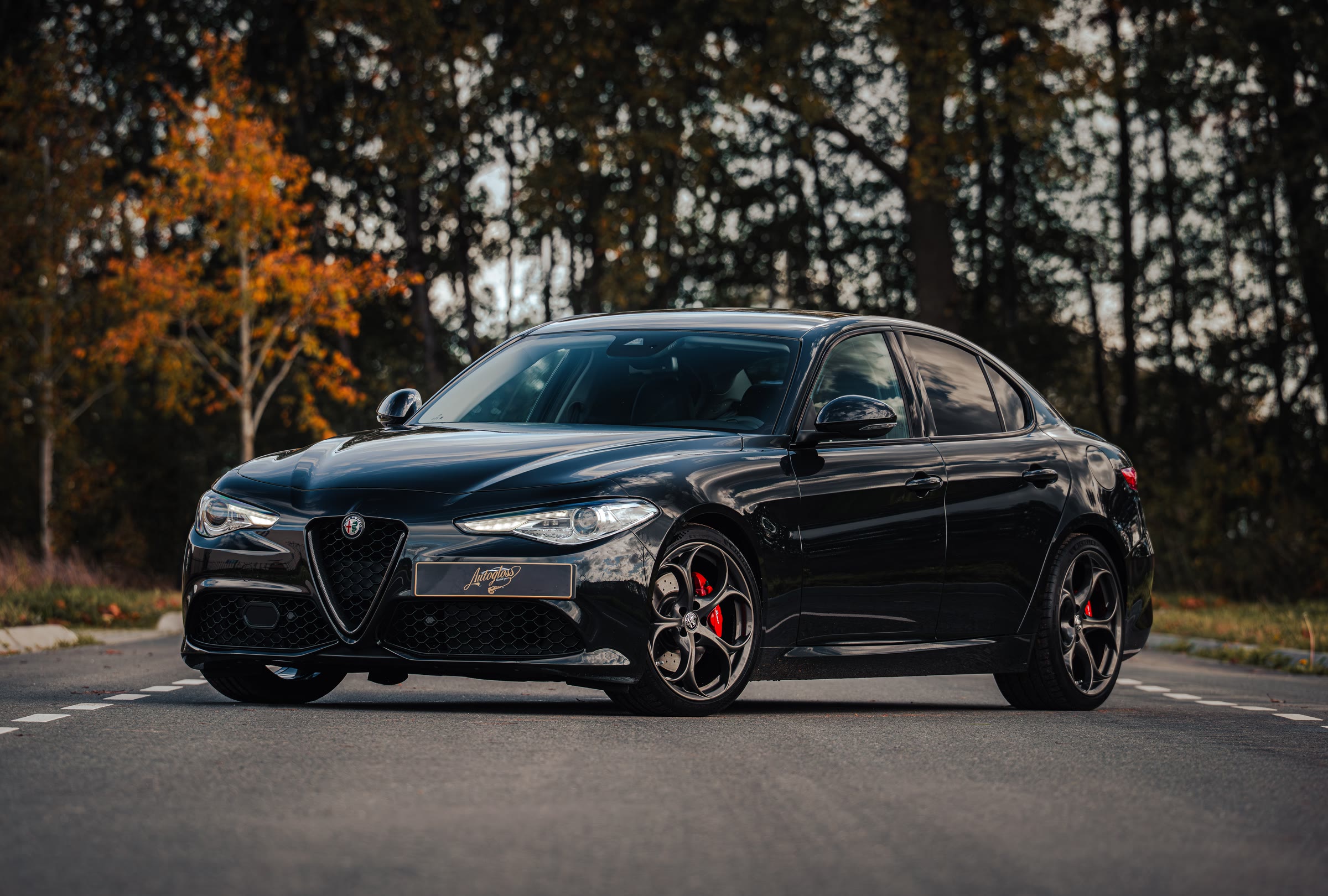 Zwarte Alfa Romeo Giulia tussen herfstbomen